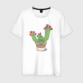 Мужская футболка хлопок с принтом Кактус в Кировске, 100% хлопок | прямой крой, круглый вырез горловины, длина до линии бедер, слегка спущенное плечо. | горшок | растение | цветет | цветок