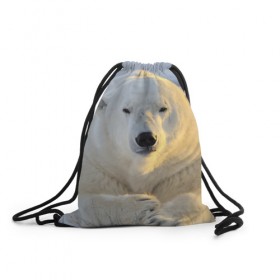 Рюкзак-мешок 3D с принтом Медведь в Кировске, 100% полиэстер | плотность ткани — 200 г/м2, размер — 35 х 45 см; лямки — толстые шнурки, застежка на шнуровке, без карманов и подкладки | animal | bear | животное | зверь | медведь | миша | россия
