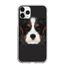 Чехол для iPhone 11 Pro Max матовый с принтом Cavalier King Charles в Кировске, Силикон |  | Тематика изображения на принте: голова | собака | спаниель