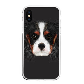 Чехол для iPhone XS Max матовый с принтом Cavalier King Charles в Кировске, Силикон | Область печати: задняя сторона чехла, без боковых панелей | Тематика изображения на принте: голова | собака | спаниель