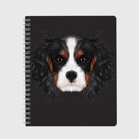 Тетрадь с принтом Cavalier King Charles в Кировске, 100% бумага | 48 листов, плотность листов — 60 г/м2, плотность картонной обложки — 250 г/м2. Листы скреплены сбоку удобной пружинной спиралью. Уголки страниц и обложки скругленные. Цвет линий — светло-серый
 | Тематика изображения на принте: голова | собака | спаниель