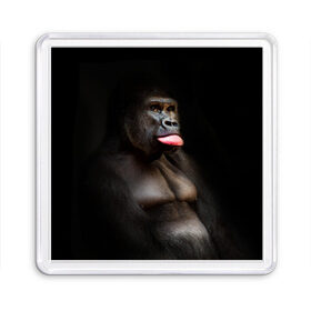 Магнит 55*55 с принтом Горилла в Кировске, Пластик | Размер: 65*65 мм; Размер печати: 55*55 мм | Тематика изображения на принте: горилла | животные | обезьяна | прикол | природа | смешно | юмор | язык