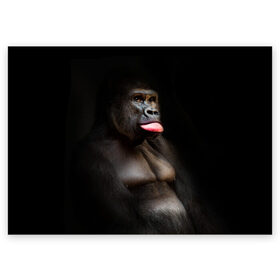 Поздравительная открытка с принтом Горилла в Кировске, 100% бумага | плотность бумаги 280 г/м2, матовая, на обратной стороне линовка и место для марки
 | горилла | животные | обезьяна | прикол | природа | смешно | юмор | язык