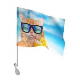Флаг для автомобиля с принтом Кот на пляже в Кировске, 100% полиэстер | Размер: 30*21 см | summer | апельсиновый сок | кот | кот на пляже | коте | котик | котэ | котяра | лето | море | небо | отдых | очки | пляже