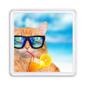 Магнит 55*55 с принтом Кот на пляже в Кировске, Пластик | Размер: 65*65 мм; Размер печати: 55*55 мм | summer | апельсиновый сок | кот | кот на пляже | коте | котик | котэ | котяра | лето | море | небо | отдых | очки | пляже
