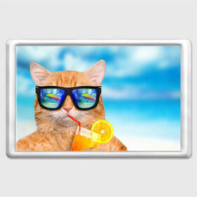 Магнит 45*70 с принтом Кот на пляже в Кировске, Пластик | Размер: 78*52 мм; Размер печати: 70*45 | summer | апельсиновый сок | кот | кот на пляже | коте | котик | котэ | котяра | лето | море | небо | отдых | очки | пляже