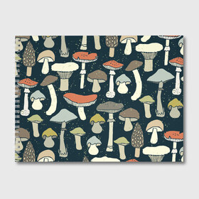 Альбом для рисования с принтом Загадочный лес в Кировске, 100% бумага
 | матовая бумага, плотность 200 мг. | Тематика изображения на принте: грибы | паттерн