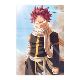 Магнитный плакат 2Х3 с принтом Fairy tail anime Natsu в Кировске, Полимерный материал с магнитным слоем | 6 деталей размером 9*9 см | Тематика изображения на принте: 