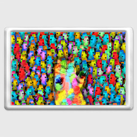 Магнит 45*70 с принтом Котики на дискотеке в Кировске, Пластик | Размер: 78*52 мм; Размер печати: 70*45 | кошки | паттерн | психоделика | разноцветный | яркий