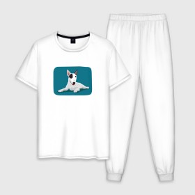 Мужская пижама хлопок с принтом Бультерьер в Кировске, 100% хлопок | брюки и футболка прямого кроя, без карманов, на брюках мягкая резинка на поясе и по низу штанин
 | 