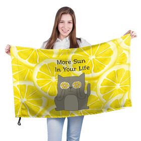 Флаг 3D с принтом More Sun In Your Life в Кировске, 100% полиэстер | плотность ткани — 95 г/м2, размер — 67 х 109 см. Принт наносится с одной стороны | cat | kitty | lemon | lemonade | limon | pussycat | summer | жара | желтый | кот | котенок | котики | котэ | кошка | лемон | лемонад | лето | лимон | лимонад | позитив | серый | сок | солнце | сочный | фрукт | цитрус | черный | яркий
