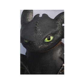 Обложка для паспорта матовая кожа с принтом как приручить дракона в Кировске, натуральная матовая кожа | размер 19,3 х 13,7 см; прозрачные пластиковые крепления | Тематика изображения на принте: how to train your dragon | беззубик | дракон | как приручить дракона | ночная фурия
