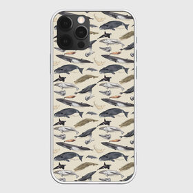 Чехол для iPhone 12 Pro Max с принтом Whales pattern в Кировске, Силикон |  | Тематика изображения на принте: whale | акула | горбач | касатка | кашалот | кит | море | океан | рыбы | синий кит