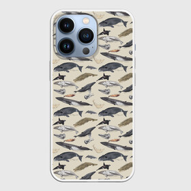 Чехол для iPhone 13 Pro с принтом Whales pattern в Кировске,  |  | Тематика изображения на принте: whale | акула | горбач | касатка | кашалот | кит | море | океан | рыбы | синий кит