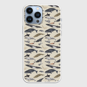 Чехол для iPhone 13 Pro Max с принтом Whales pattern в Кировске,  |  | Тематика изображения на принте: whale | акула | горбач | касатка | кашалот | кит | море | океан | рыбы | синий кит