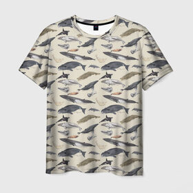 Мужская футболка 3D с принтом Whales pattern в Кировске, 100% полиэфир | прямой крой, круглый вырез горловины, длина до линии бедер | whale | акула | горбач | касатка | кашалот | кит | море | океан | рыбы | синий кит