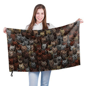 Флаг 3D с принтом Глупые коты в Кировске, 100% полиэстер | плотность ткани — 95 г/м2, размер — 67 х 109 см. Принт наносится с одной стороны | кот | котик | котики | кошка | паттерн