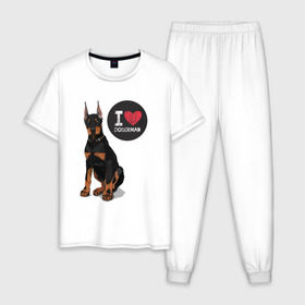 Мужская пижама хлопок с принтом Я люблю Добермана в Кировске, 100% хлопок | брюки и футболка прямого кроя, без карманов, на брюках мягкая резинка на поясе и по низу штанин
 | доберман | с доберманом | собака | собаки | собачки | я люблю
