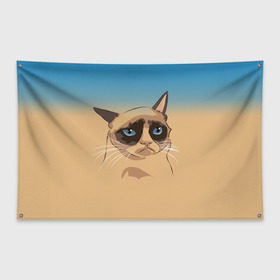 Флаг-баннер с принтом Grumpy cat ART в Кировске, 100% полиэстер | размер 67 х 109 см, плотность ткани — 95 г/м2; по краям флага есть четыре люверса для крепления | cat | grumpy | грустный кот | киса | кот | котэ | котяра | кошка | мем | сердитый кот