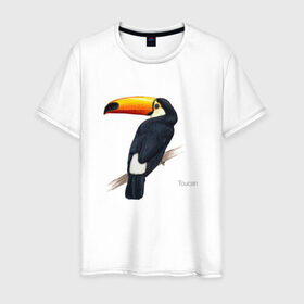 Мужская футболка хлопок с принтом Тукан в Кировске, 100% хлопок | прямой крой, круглый вырез горловины, длина до линии бедер, слегка спущенное плечо. | птица | птицы | с птицей | тукан | экзотика