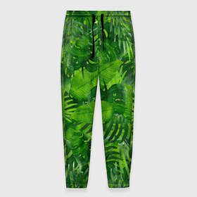Мужские брюки 3D с принтом Тропики в Кировске, 100% полиэстер | манжеты по низу, эластичный пояс регулируется шнурком, по бокам два кармана без застежек, внутренняя часть кармана из мелкой сетки | джунгли | зелень | лес | листья | тропики