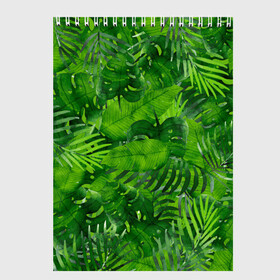 Скетчбук с принтом Тропики в Кировске, 100% бумага
 | 48 листов, плотность листов — 100 г/м2, плотность картонной обложки — 250 г/м2. Листы скреплены сверху удобной пружинной спиралью | джунгли | зелень | лес | листья | тропики