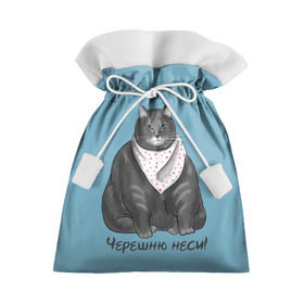 Подарочный 3D мешок с принтом Черешню неси! в Кировске, 100% полиэстер | Размер: 29*39 см | Тематика изображения на принте: еда | кот | кушать | мем | черешня