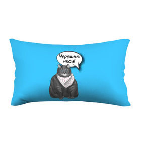 Подушка 3D антистресс с принтом Толстый кот в Кировске, наволочка — 100% полиэстер, наполнитель — вспененный полистирол | состоит из подушки и наволочки на молнии | еда | кот | кушать | мем | черешня