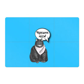 Магнитный плакат 3Х2 с принтом Толстый кот в Кировске, Полимерный материал с магнитным слоем | 6 деталей размером 9*9 см | Тематика изображения на принте: еда | кот | кушать | мем | черешня