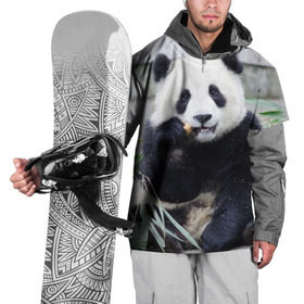 Накидка на куртку 3D с принтом Большая панда в Кировске, 100% полиэстер |  | бамбук | белый | джунгли | дикое | животное | китай | лес | медведь | черный