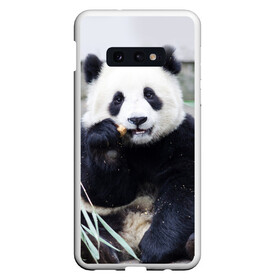Чехол для Samsung S10E с принтом Большая панда в Кировске, Силикон | Область печати: задняя сторона чехла, без боковых панелей | бамбук | белый | джунгли | дикое | животное | китай | лес | медведь | черный