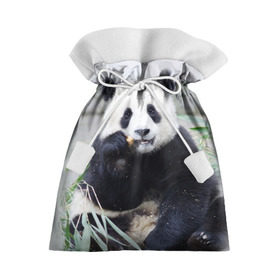 Подарочный 3D мешок с принтом Большая панда в Кировске, 100% полиэстер | Размер: 29*39 см | бамбук | белый | джунгли | дикое | животное | китай | лес | медведь | черный