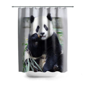 Штора 3D для ванной с принтом Большая панда в Кировске, 100% полиэстер | плотность материала — 100 г/м2. Стандартный размер — 146 см х 180 см. По верхнему краю — пластиковые люверсы для креплений. В комплекте 10 пластиковых колец | бамбук | белый | джунгли | дикое | животное | китай | лес | медведь | черный