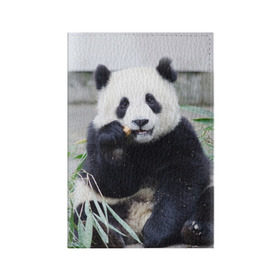 Обложка для паспорта матовая кожа с принтом Большая панда в Кировске, натуральная матовая кожа | размер 19,3 х 13,7 см; прозрачные пластиковые крепления | бамбук | белый | джунгли | дикое | животное | китай | лес | медведь | черный