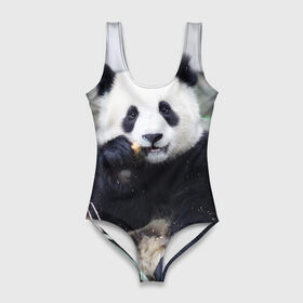 Купальник-боди 3D с принтом Большая панда в Кировске, 82% полиэстер, 18% эластан | Круглая горловина, круглый вырез на спине | бамбук | белый | джунгли | дикое | животное | китай | лес | медведь | черный
