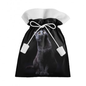 Подарочный 3D мешок с принтом Милый котик в Кировске, 100% полиэстер | Размер: 29*39 см | Тематика изображения на принте: кот | котенок | кошка | милый | пушистый | черный