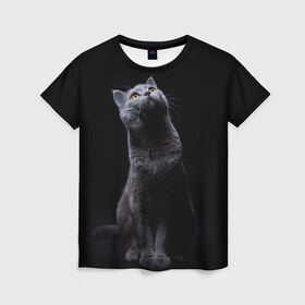 Женская футболка 3D с принтом Милый котик в Кировске, 100% полиэфир ( синтетическое хлопкоподобное полотно) | прямой крой, круглый вырез горловины, длина до линии бедер | кот | котенок | кошка | милый | пушистый | черный