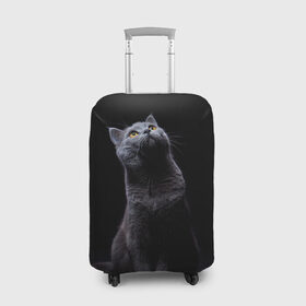 Чехол для чемодана 3D с принтом Милый котик в Кировске, 86% полиэфир, 14% спандекс | двустороннее нанесение принта, прорези для ручек и колес | Тематика изображения на принте: кот | котенок | кошка | милый | пушистый | черный