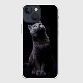 Чехол для iPhone 13 mini с принтом Милый котик в Кировске,  |  | кот | котенок | кошка | милый | пушистый | черный