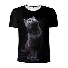 Мужская футболка 3D спортивная с принтом Милый котик в Кировске, 100% полиэстер с улучшенными характеристиками | приталенный силуэт, круглая горловина, широкие плечи, сужается к линии бедра | кот | котенок | кошка | милый | пушистый | черный