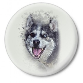 Значок с принтом Хаска в Кировске,  металл | круглая форма, металлическая застежка в виде булавки | животные | пес | собака | хаска