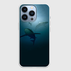 Чехол для iPhone 13 Pro с принтом Акулы в Кировске,  |  | море | океан | подводный мир | рыба | хищник