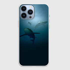 Чехол для iPhone 13 Pro Max с принтом Акулы в Кировске,  |  | море | океан | подводный мир | рыба | хищник