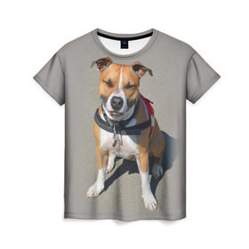 Женская футболка 3D с принтом Стаффордшир в Кировске, 100% полиэфир ( синтетическое хлопкоподобное полотно) | прямой крой, круглый вырез горловины, длина до линии бедер | животные | пес | питбуль | природа | собака | стафф | стаффордшир | стаффордширский терьер