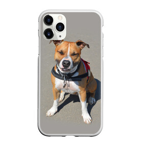 Чехол для iPhone 11 Pro Max матовый с принтом Стаффордшир в Кировске, Силикон |  | животные | пес | питбуль | природа | собака | стафф | стаффордшир | стаффордширский терьер