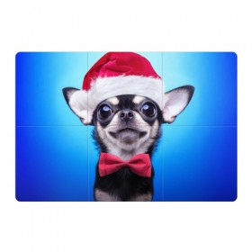 Магнитный плакат 3Х2 с принтом рождество в Кировске, Полимерный материал с магнитным слоем | 6 деталей размером 9*9 см | Тематика изображения на принте: dog | happy new year | бантик | взгляд | глаза | новый год | пинчер | праздник | санта клаус | собака | той терьер