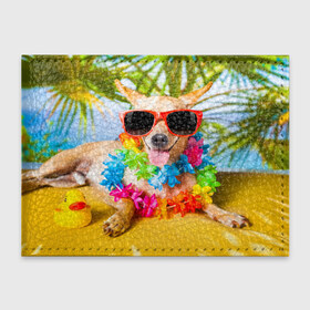 Обложка для студенческого билета с принтом пляж в Кировске, натуральная кожа | Размер: 11*8 см; Печать на всей внешней стороне | sea | гавайи | лето | море | океан | отдых | очки | пляж | собака | той терьер