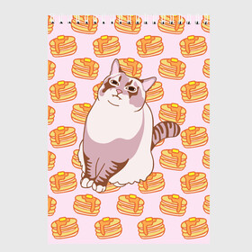 Скетчбук с принтом Блины в Кировске, 100% бумага
 | 48 листов, плотность листов — 100 г/м2, плотность картонной обложки — 250 г/м2. Листы скреплены сверху удобной пружинной спиралью | Тематика изображения на принте: cat | fat | internet | meme | pancakes | блины | интернет | кот | лупс | мем