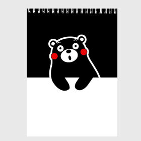 Скетчбук с принтом KUMAMON в Кировске, 100% бумага
 | 48 листов, плотность листов — 100 г/м2, плотность картонной обложки — 250 г/м2. Листы скреплены сверху удобной пружинной спиралью | japanese | kumamon | kumamoto | аниме | игрушка | кумамон | кумамото сапурайдзу | персонаж | талисман | япония