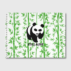 Альбом для рисования с принтом Still Alive в Кировске, 100% бумага
 | матовая бумага, плотность 200 мг. | Тематика изображения на принте: alive | bamboo | green | greenpeace | panga | peace | still | бамбук | грин | гринпис | живая | живой | зеленый | мир | панда | панды | пис